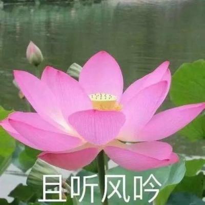 高质量发展调研行｜广州低空经济“飞”上风口